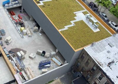 Brooklyn, NY Apartment Building Roof