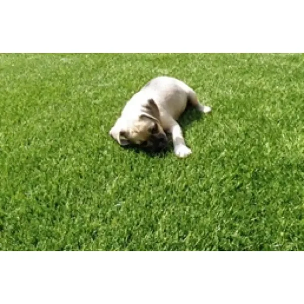 MRP Turf