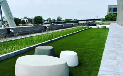 SYNLawn Golf