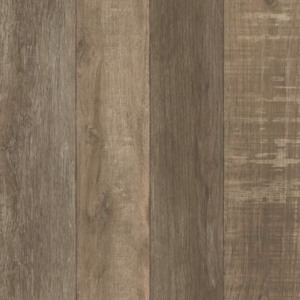 Walnut Field